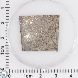 Tank Mountains Meteorite 3.67g Slice