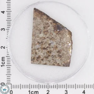 Tank Mountains Meteorite 4.24g Slice