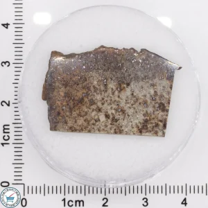Tank Mountains Meteorite 4.3g Slice
