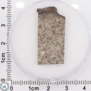 Tank Mountains Meteorite 3.44g Slice