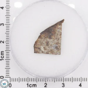 Tank Mountains Meteorite 1.23g Slice