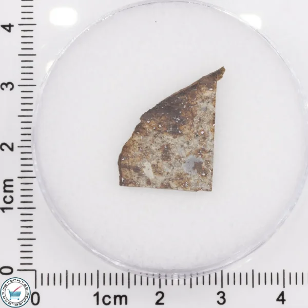 Tank Mountains Meteorite 1.23g Slice