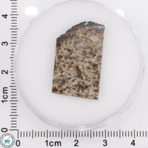 Tank Mountains Meteorite 3.28g Slice