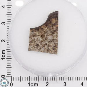 Tank Mountains Meteorite 2.28g Slice
