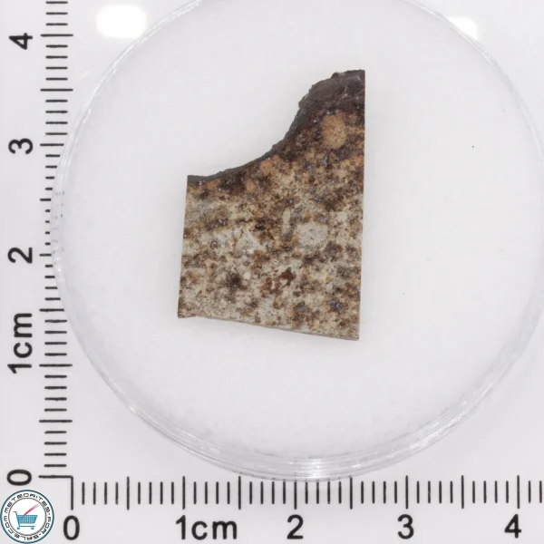 Tank Mountains Meteorite 2.28g Slice