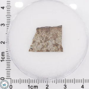 Tank Mountains Meteorite 0.68g Slice