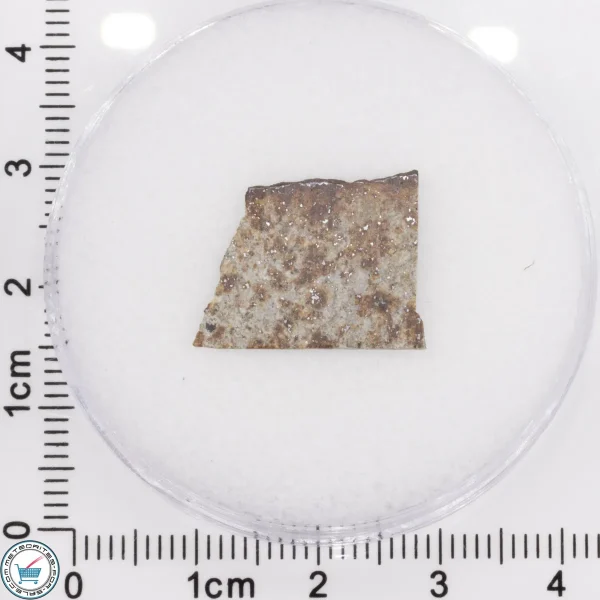 Tank Mountains Meteorite 0.68g Slice