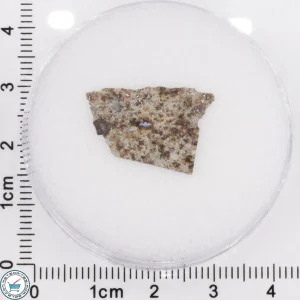Tank Mountains Meteorite 0.41g Slice