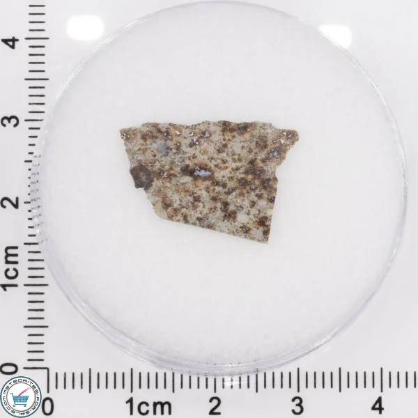 Tank Mountains Meteorite 0.41g Slice