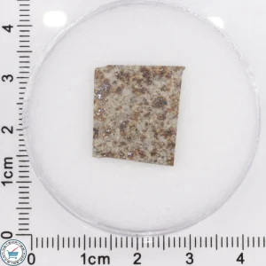 Tank Mountains Meteorite 1.12g Slice