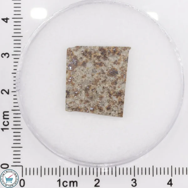 Tank Mountains Meteorite 1.12g Slice