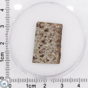 Tank Mountains Meteorite 2.55g Slice