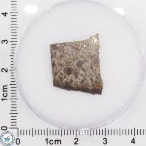 Tank Mountains Meteorite 0.94g Slice