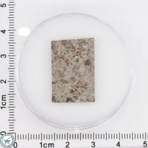 Tank Mountains Meteorite 2.9g Slice