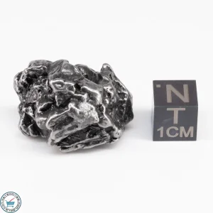 Campo del Cielo Meteorite Crystal 29.4g