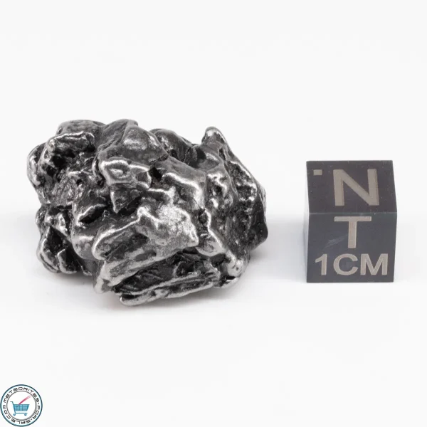 Campo del Cielo Meteorite Crystal 29.4g