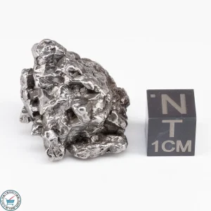 Campo del Cielo Meteorite Crystal 26.4g
