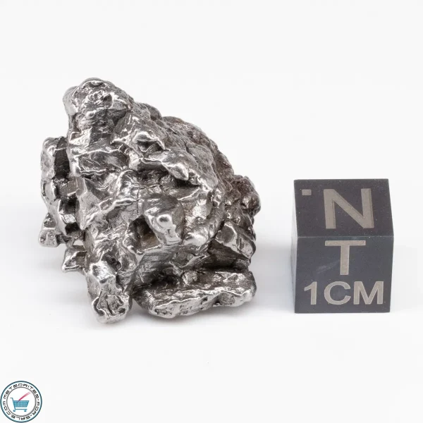 Campo del Cielo Meteorite Crystal 26.4g