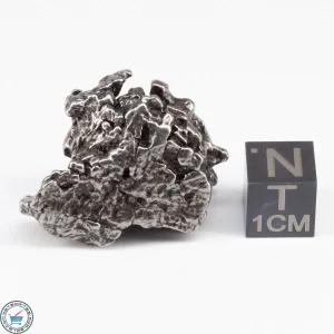 Campo del Cielo Meteorite Crystal 30.7g