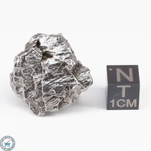 Campo del Cielo Meteorite Crystal 30.0g
