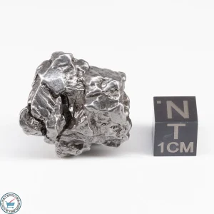 Campo del Cielo Meteorite Crystal 26.3g