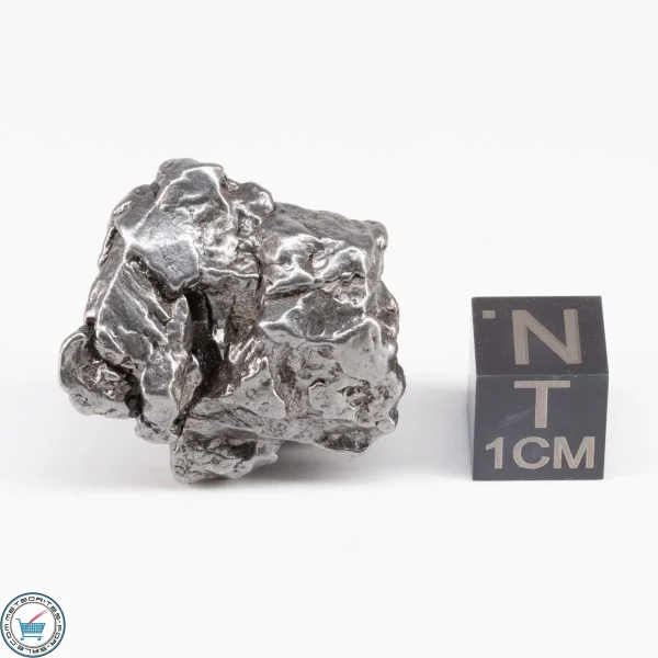 Campo del Cielo Meteorite Crystal 26.3g