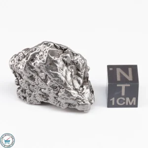 Campo del Cielo Meteorite Crystal 29.4g
