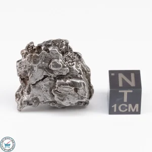 Campo del Cielo Meteorite Crystal 23.7g