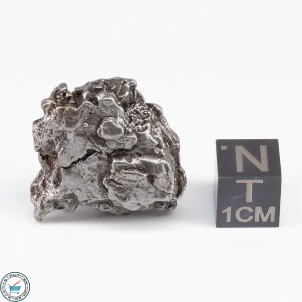Campo del Cielo Meteorite Crystal 23.7g