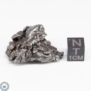Campo del Cielo Meteorite Crystal 27.5g