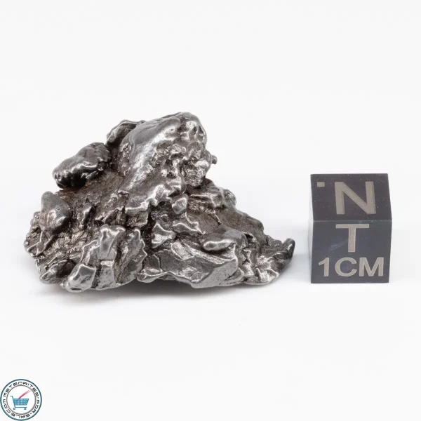 Campo del Cielo Meteorite Crystal 27.5g