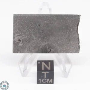Balambala Meteorite 19.2g