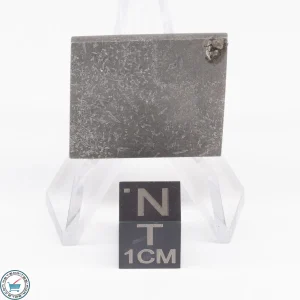 Balambala Meteorite 13.6g