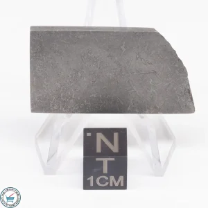 Balambala Meteorite 15.6g