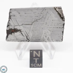 Toluca Meteorite Slice 26.8g