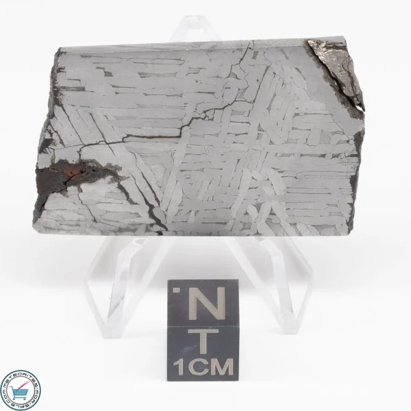 Toluca Meteorite Slice 26.8g