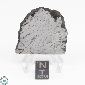Toluca Meteorite Slice 25.3g