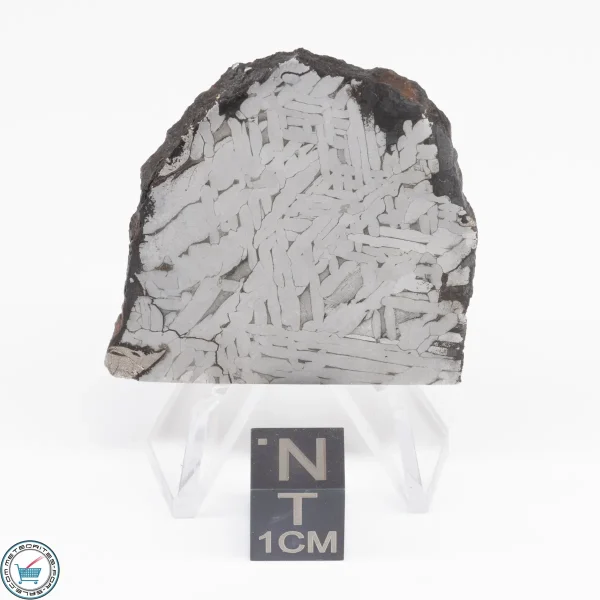 Toluca Meteorite Slice 25.3g
