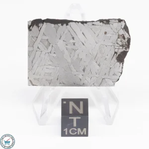 Toluca Meteorite Slice 20.2g