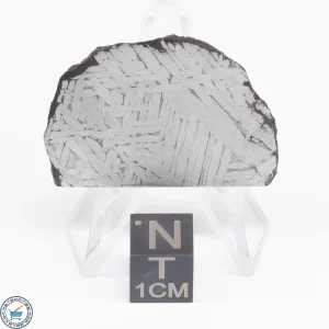 Toluca Meteorite Slice 17.3g