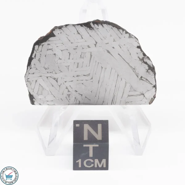 Toluca Meteorite Slice 17.3g