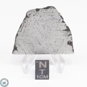 Toluca Meteorite Slice 26.8g