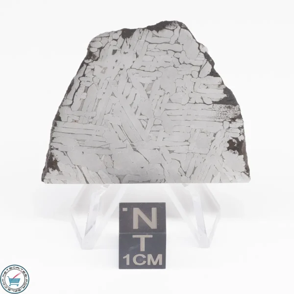 Toluca Meteorite Slice 26.8g