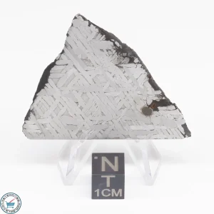 Toluca Meteorite Slice 26.9g