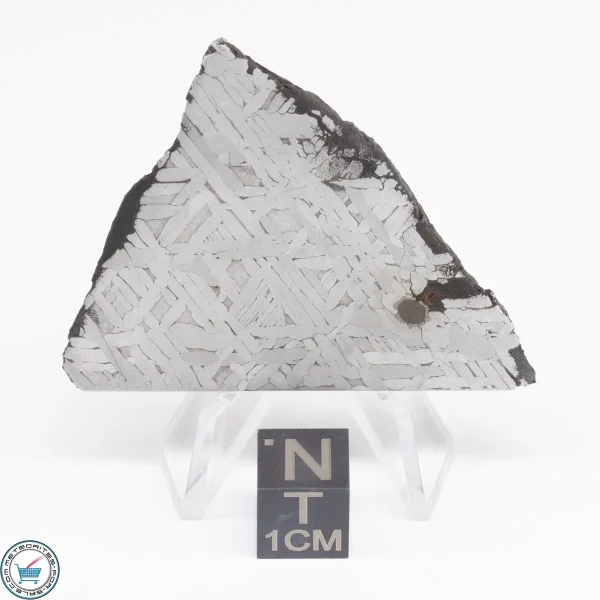 Toluca Meteorite Slice 26.9g