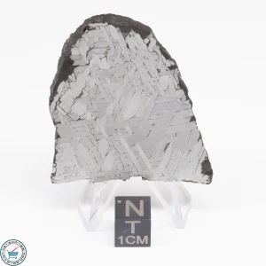 Toluca Meteorite Slice 37.0g