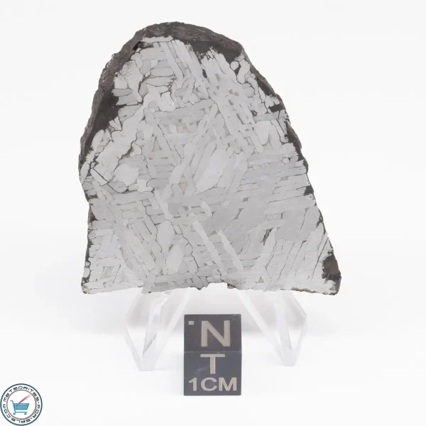 Toluca Meteorite Slice 37.0g