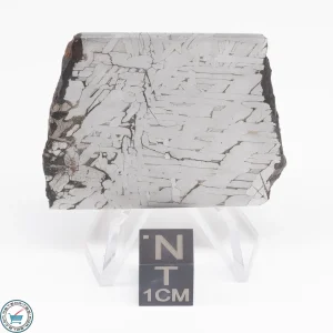 Toluca Meteorite Slice 30.9g