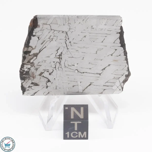 Toluca Meteorite Slice 30.9g