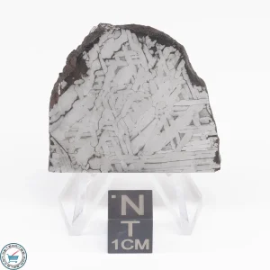 Toluca Meteorite Slice 23.6g